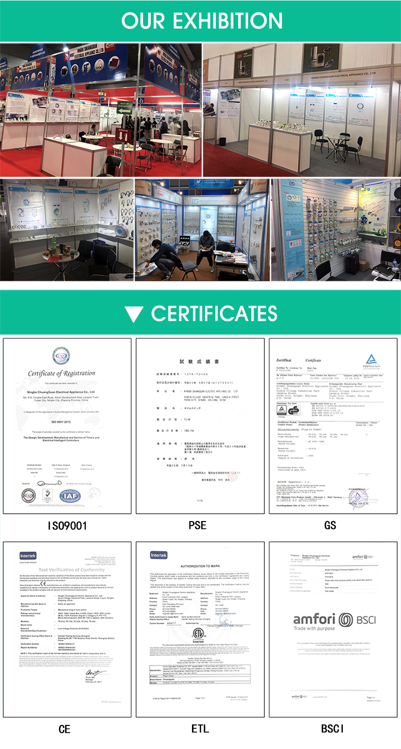 T10 24 Hours Daily Mechanical Timer Switch Module
