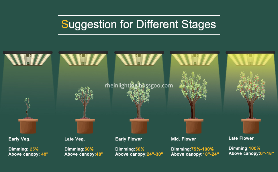 led grow light10