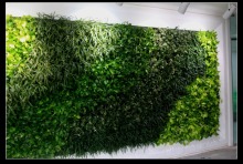 2016 compound wall design,outdoor green plants,future design fake plants wall