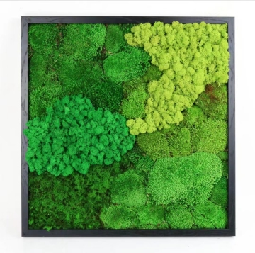 Artificial Dried Moss Grass Wall Panels