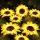 Outdoor Sunflower Solar Garden Decor Wet Yard Paster