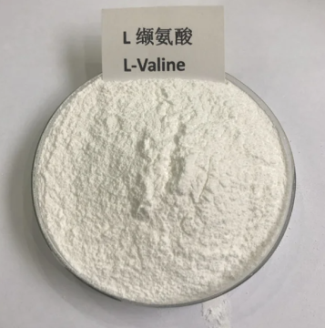 L-Valine Essential Branched-Chain Amino Acid