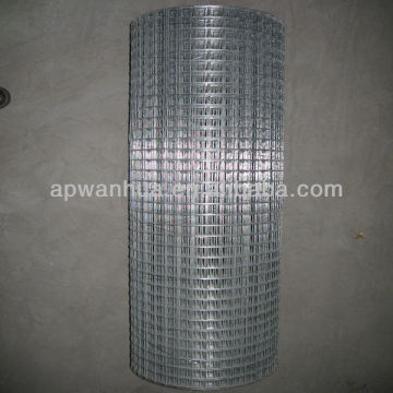 good quality electro gavlanized welded wire mesh manufacturer