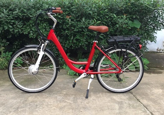 200-250W Motor Electric Bicycle