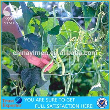 Plastic Green Climbing Plant Support Netting