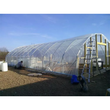 Greenhouse en plastique de type de résistance multiples