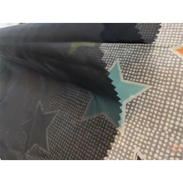 100%Nylon Organza Fabric SM012062