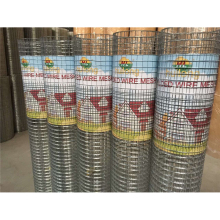 Black Galvanized Coated Aviary Mesh for Chicken Coops and Bird Cages