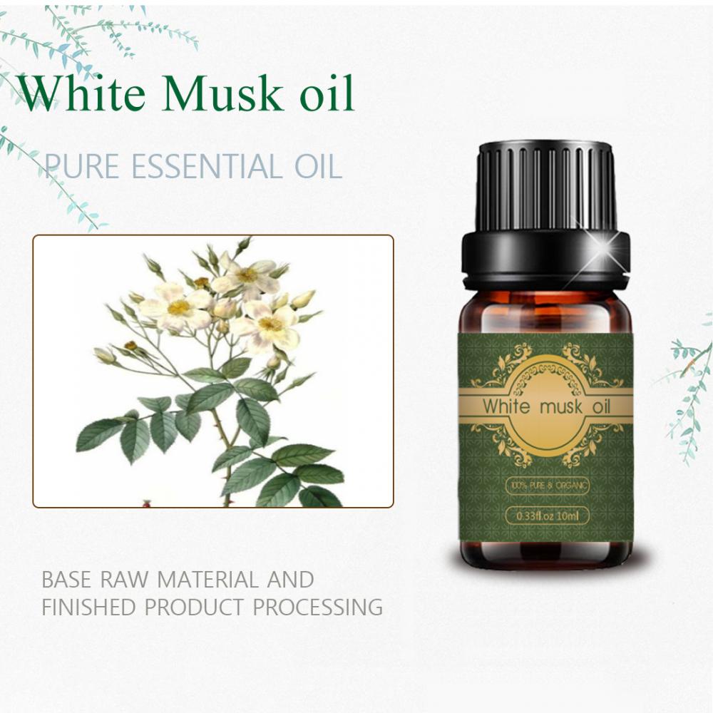 OEM 100%Pure White Musk Essential Oil Aroma Diffuser