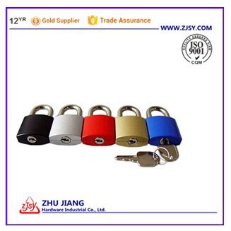 Zinc alloy locker lock with key