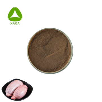 Grass Fed Supplement Beef Testicle Extract Powder