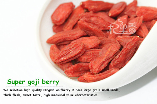 Ningxia Goji Berry, Chinese Wolfberry, Goji