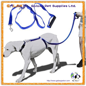 G-A-2606 instant trainer dog leash
