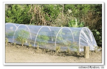 Anti-fogging low tunnel greenhouse film
