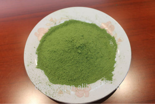 Green Tea organic Matcha tea powder high grade EU Standard