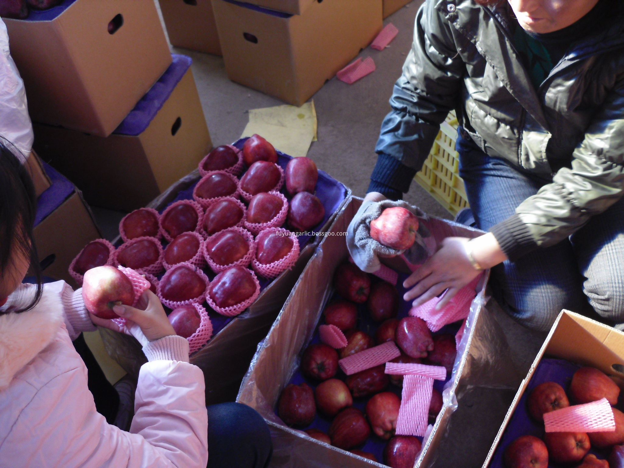 huaniu apple supply