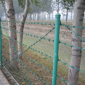 PVC Double Twist Barbed Wire