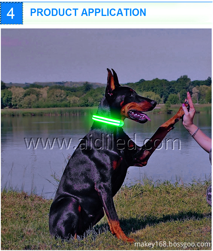 Rechargeable Lighted Dog Collars