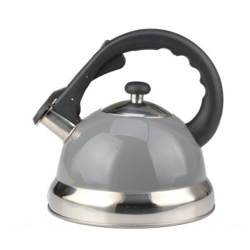 Fastest Boiling Surgical Stainless Steel Tea Kettle