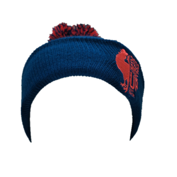 Fashionable Custom Acrylic Knit Hat