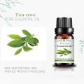 Private Label Face Skin Care Tea Tree Natural Essential Oil