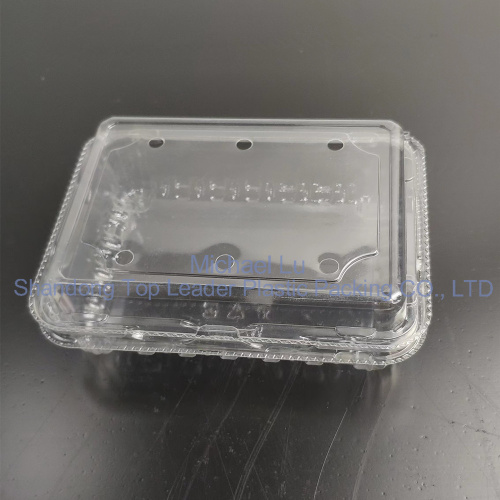 Transparent Pet Takeout Container Boxes Clamshell Food