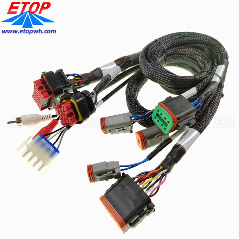 ECU wire harness assembly