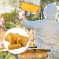 Cera de abelha orgânica 100% natural com preço mais baixo a granel