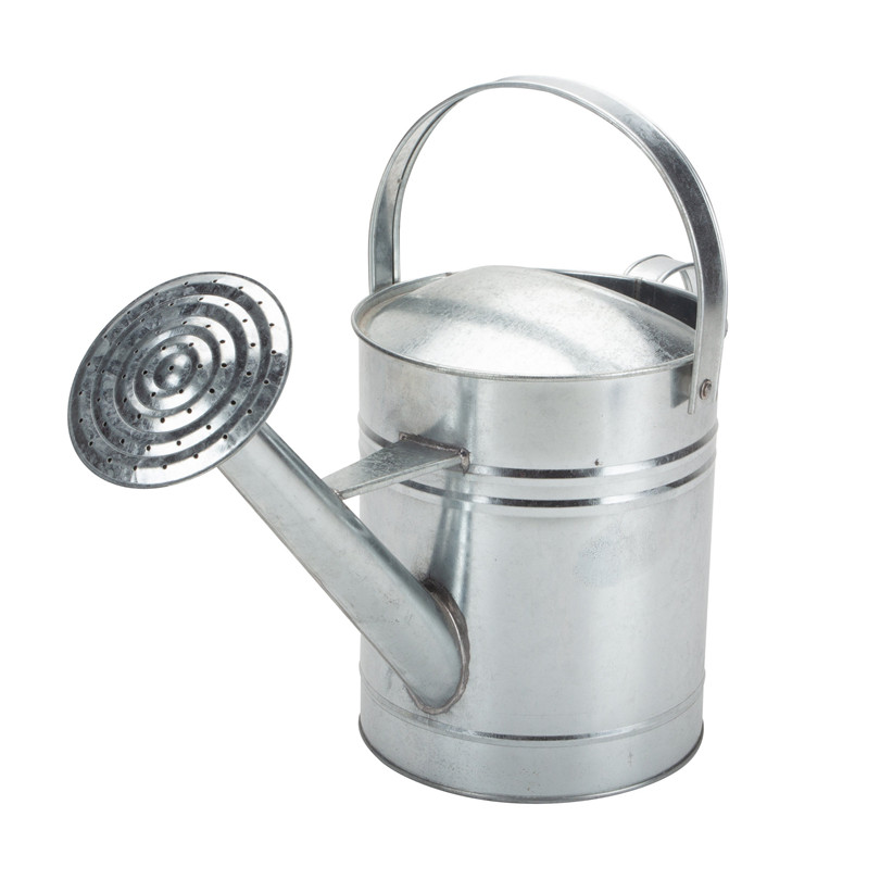 Regadera Galvanizada Grande Galvanized Watering Can Large