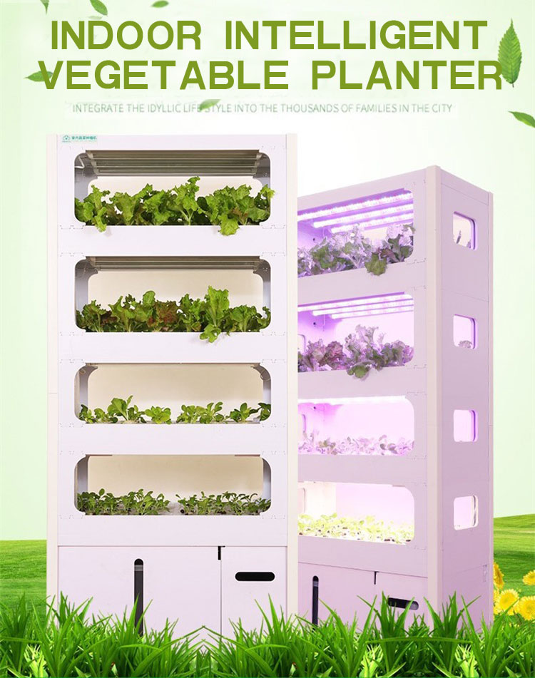 Hydroponic system