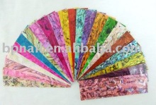 Art Nail Shell Slice/Nail Beauty