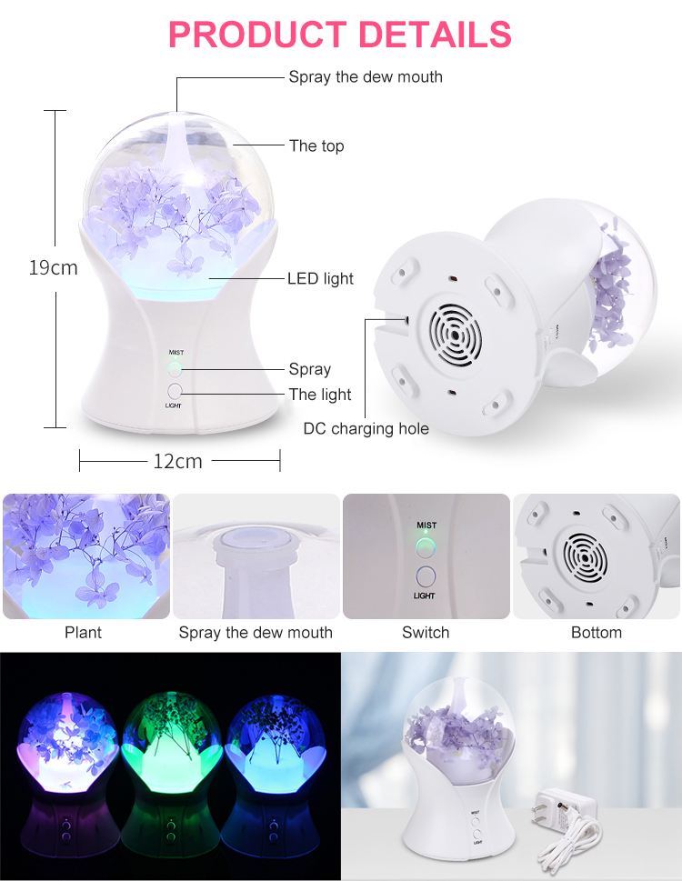 Hushållsrundan dekorativ 100 ml Mist Maker Fogger Aromaterapi Essential Oil Diffuser LED Light Firidifier