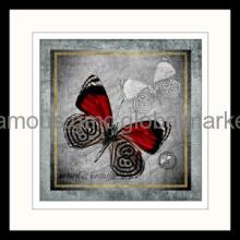 Decorative Pictures Modern Picture Frames