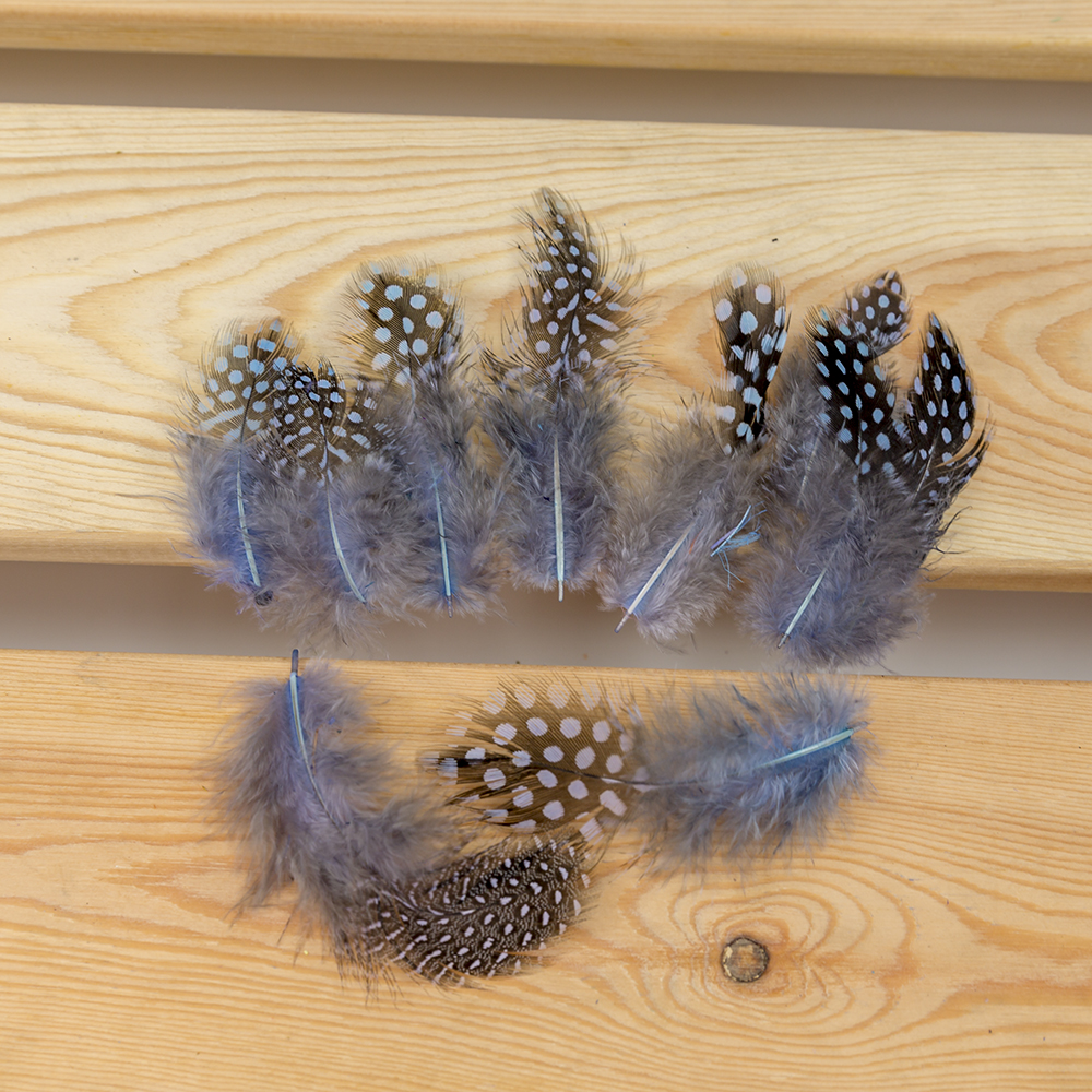 Peacock feather craft ideas