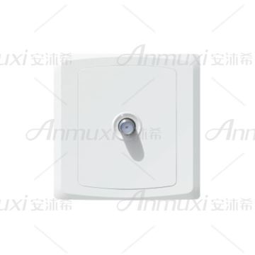 British Satellite Socket Outlet