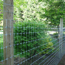 Farm filed fence sheep fence with ISO9001 certificate