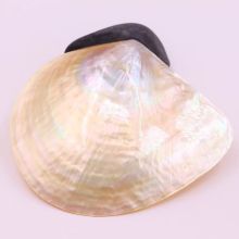Luxurious Natural Polished Yellow Lip Mother of Pearl Shell Caviar Plate
