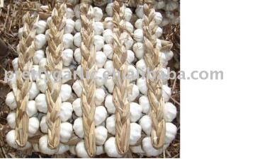 pure white garlic braids