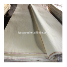 poplar veneer for plywood use as face veneer