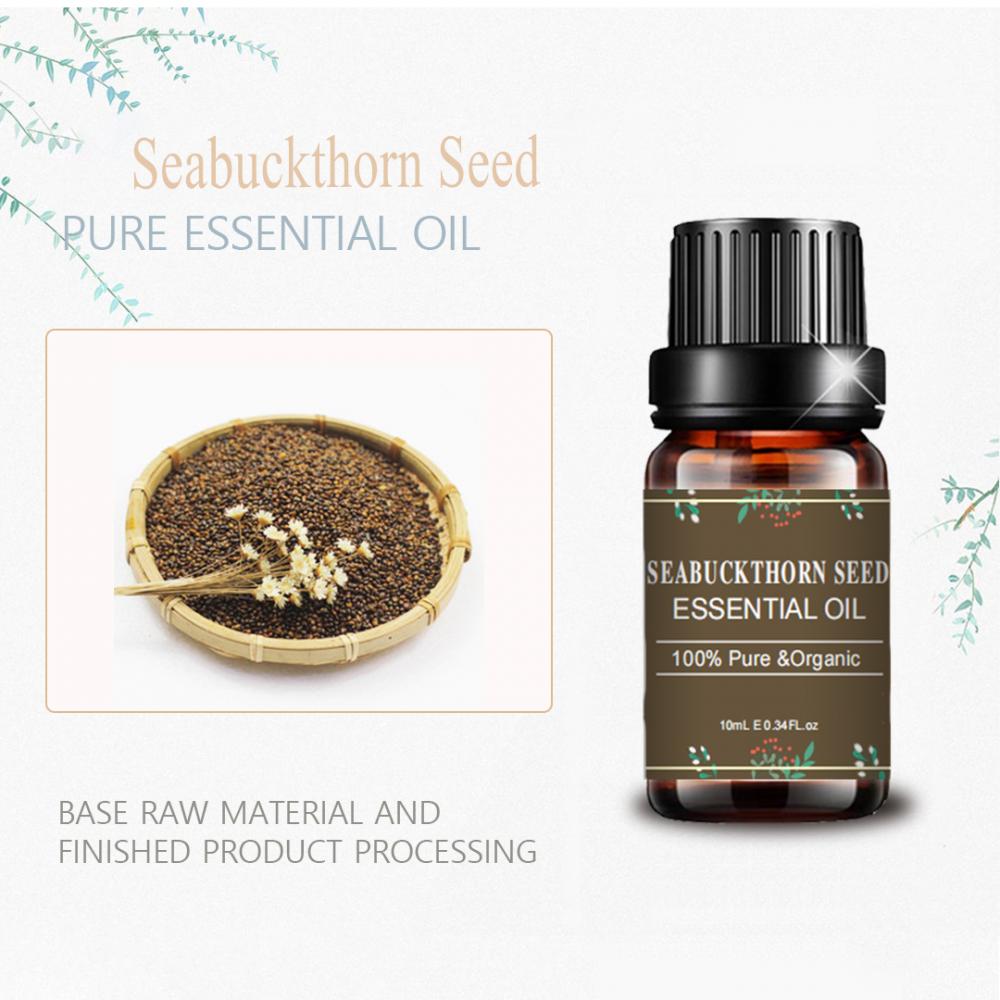 Bom preço Seabuckthorn Seed Oil Essential Oil New Whitening