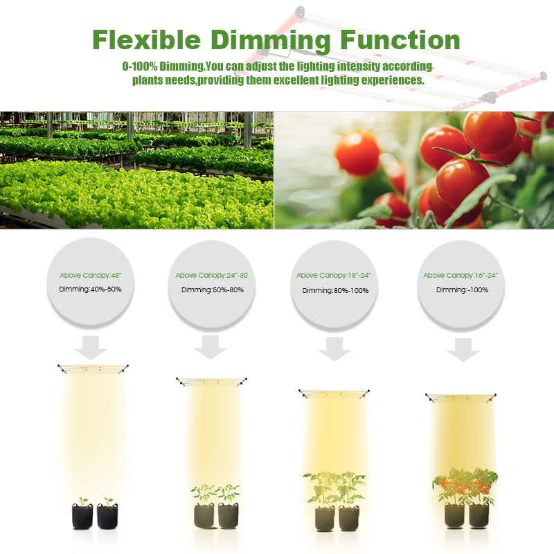 식물 성장 400W 수경지 LED는 성장한 조명기구를 성장시킵니다