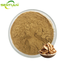 High-Quality Bletilla striata Extract Powder