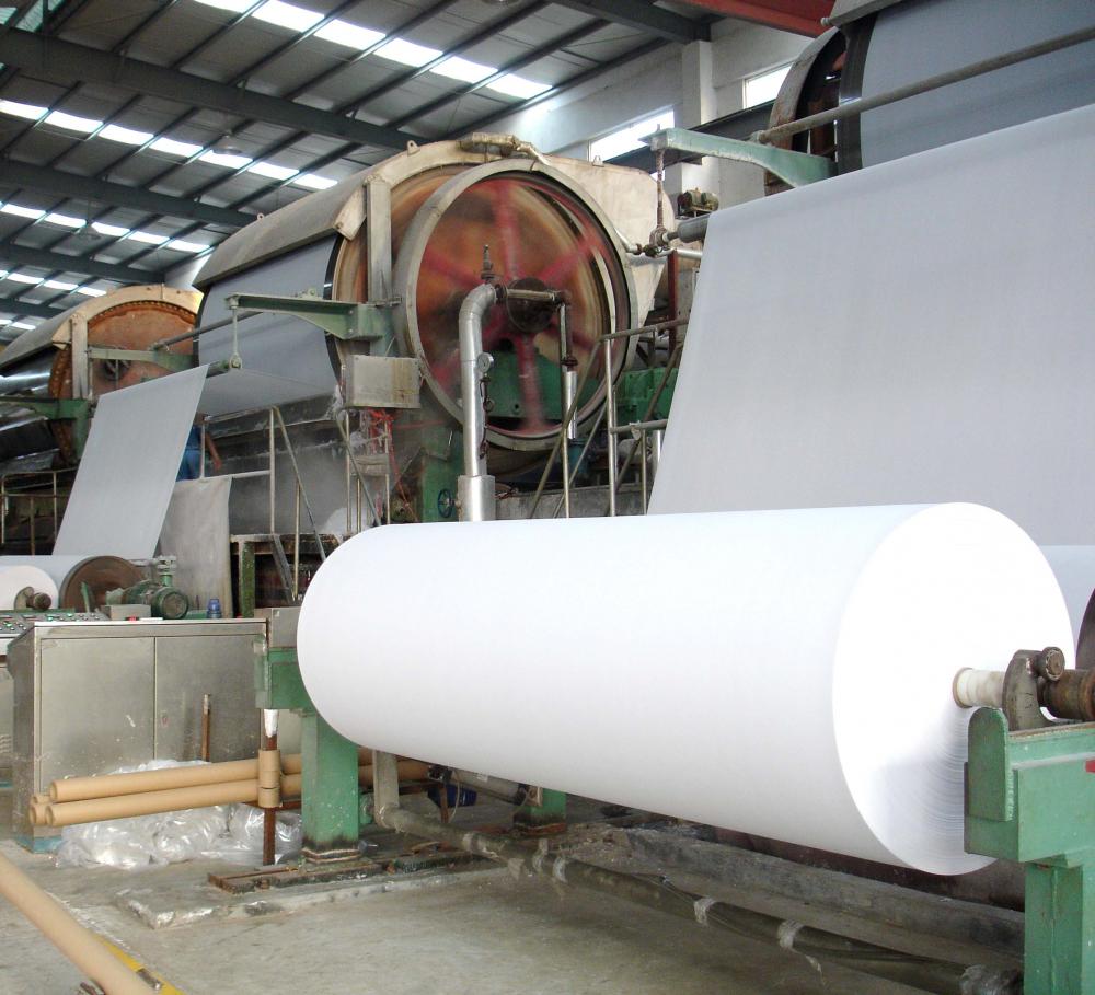 Tissue Paper Jumbo Roll for converting plant