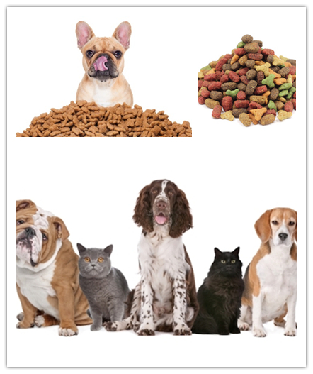 vet recommended dog food