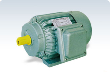 Induction Motor