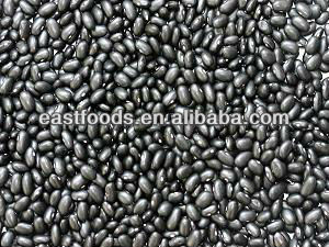 Small black beans 2013 crop