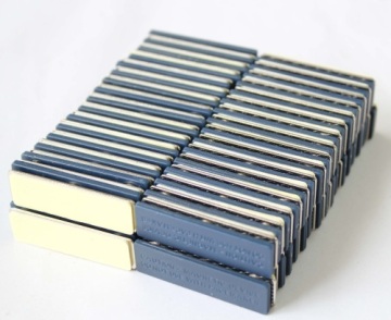 Name Badge With Magnetic Back?