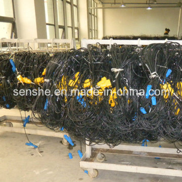 Land Geophone Strings