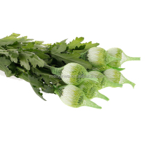 PE PP Fruit Egg Knotless Packing Net Bag Extrusion Line