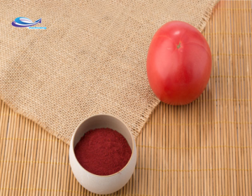Supply Competitive Price Tomato Powder/ Tomato Price